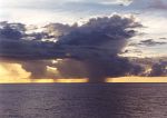 Ice Nucleation by Organic Compounds Representative of Biomass Burning in the Tropics
