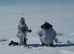 A synthesis of existing and new observations of air-snowpack exchanges to assess the arctic tropospheric ozone budget,